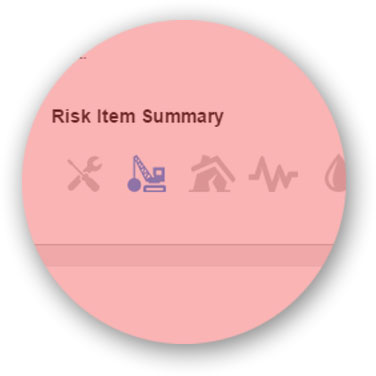 20 point risk scan